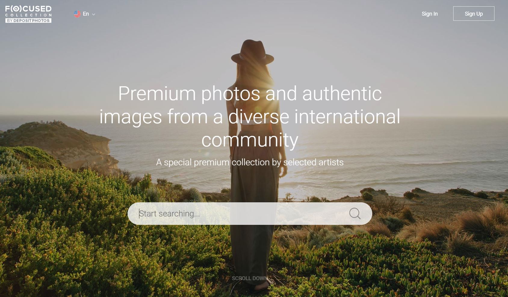 Lightfield Premium